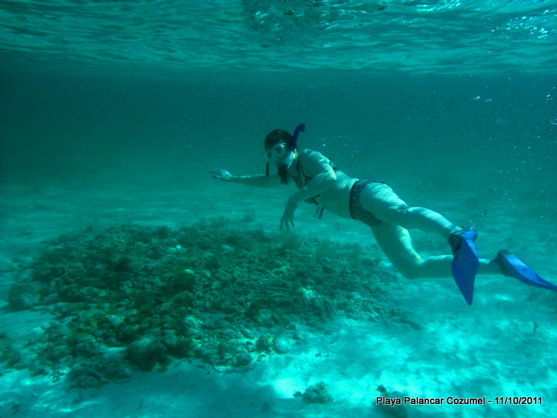 Snorkeling in Cozumel